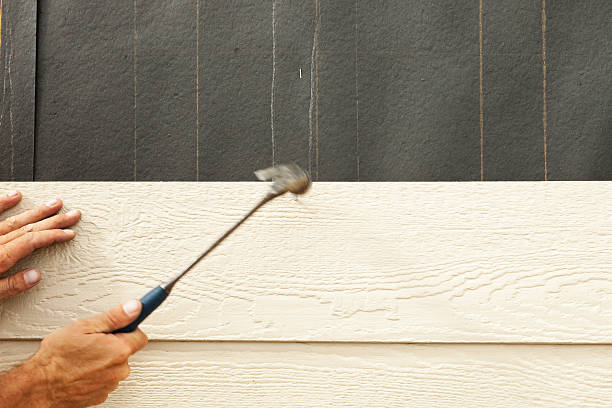 Best Stucco Siding  in Columbia Falls, MT
